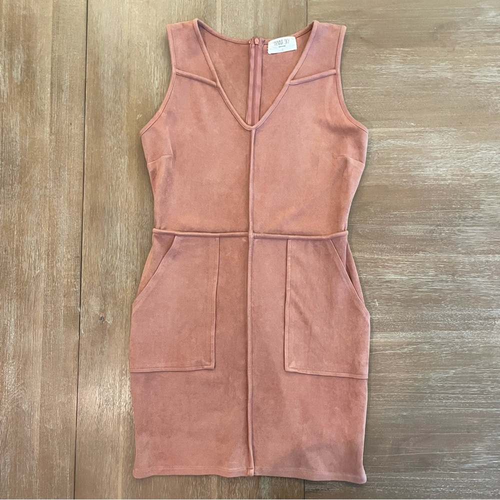 Pink Velvet Dress - Picture 2 of 4